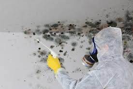 Best Asbestos and Lead Testing During Mold Inspection  in Guttenberg, IA